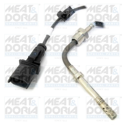 Sensor, exhaust gas temperature